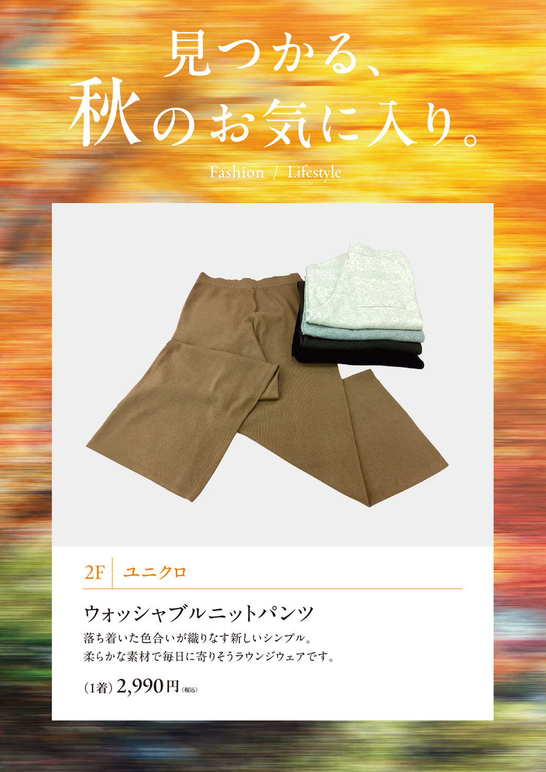 イメージ画像